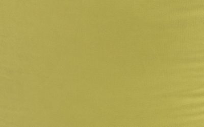 Crayola Inchworm Futon Cover