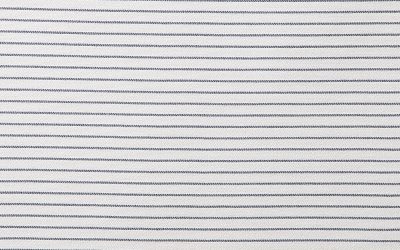 Everlast Stripe Fog Futon Cover