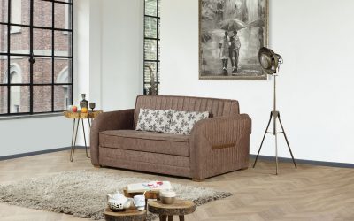 Speedy Loveseat Sleeper Brown