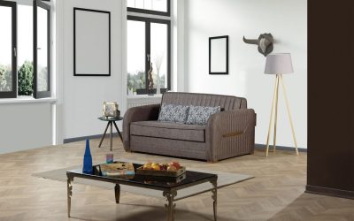 Speedy Loveseat Sleeper Gray