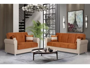 Avalon Plus Sofa Sleeper and loveseat Orange