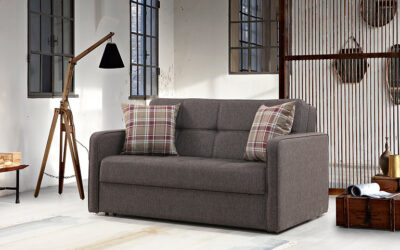 Lucy Love Seat Sleeper Brown