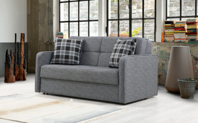 Lucy Love Seat Sleeper Gray