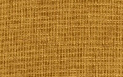 Enchanted Gold Futon Cover
